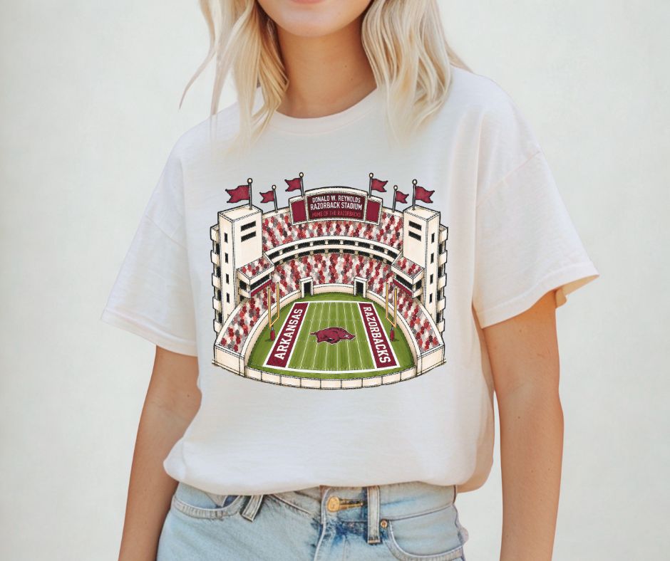Arkansas (College Stadiums) - DTF