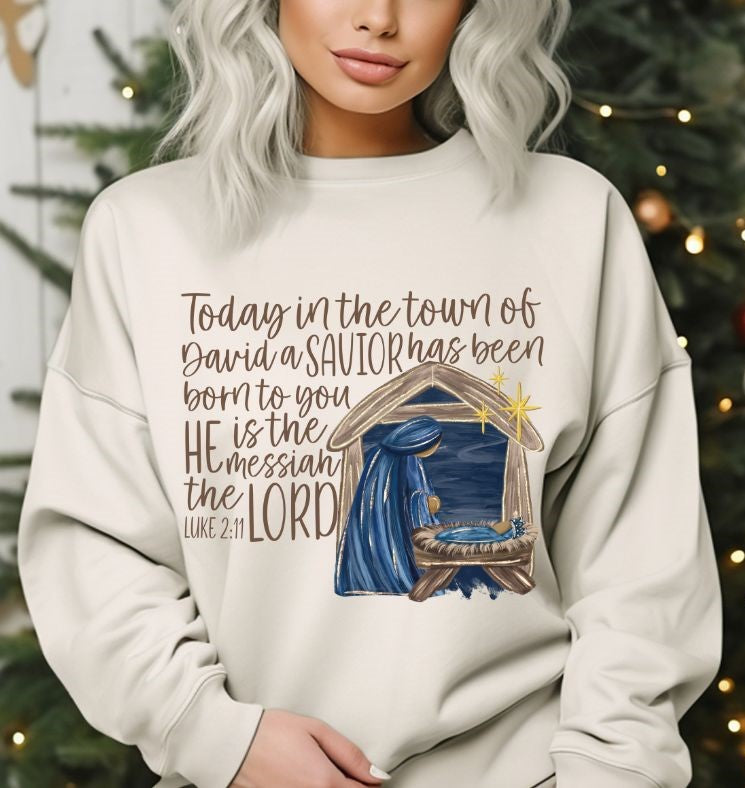 Luke 2:11 (Christmas Story) - DTF