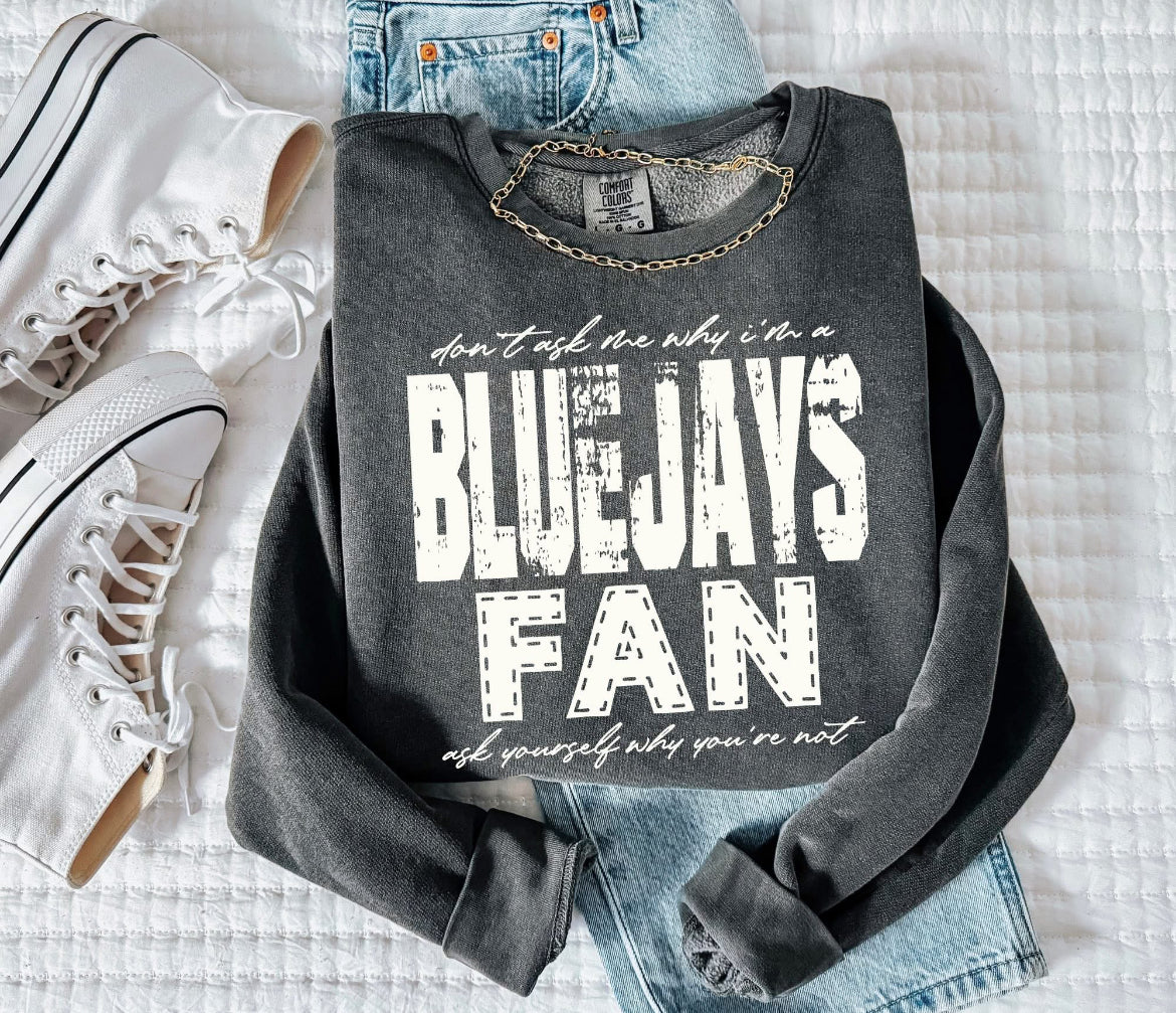 BlueJays (Don't Ask Me Why Spirit Mascot) - DTF