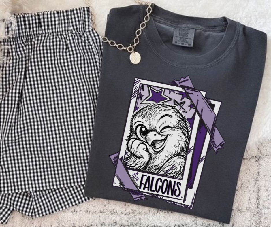 Falcons - Purple (Cutie Patootie Mascots) - DTF