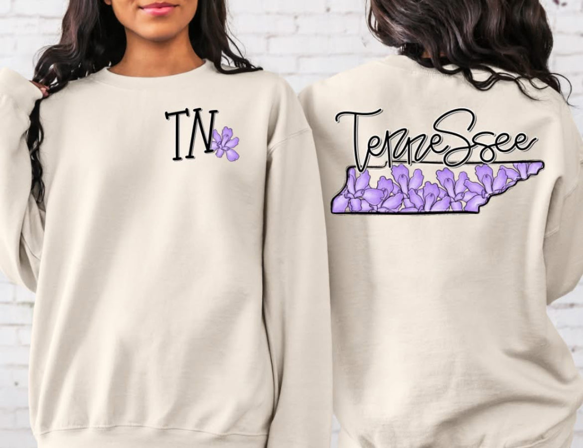 Tennessee (Whimsy State) - DTF