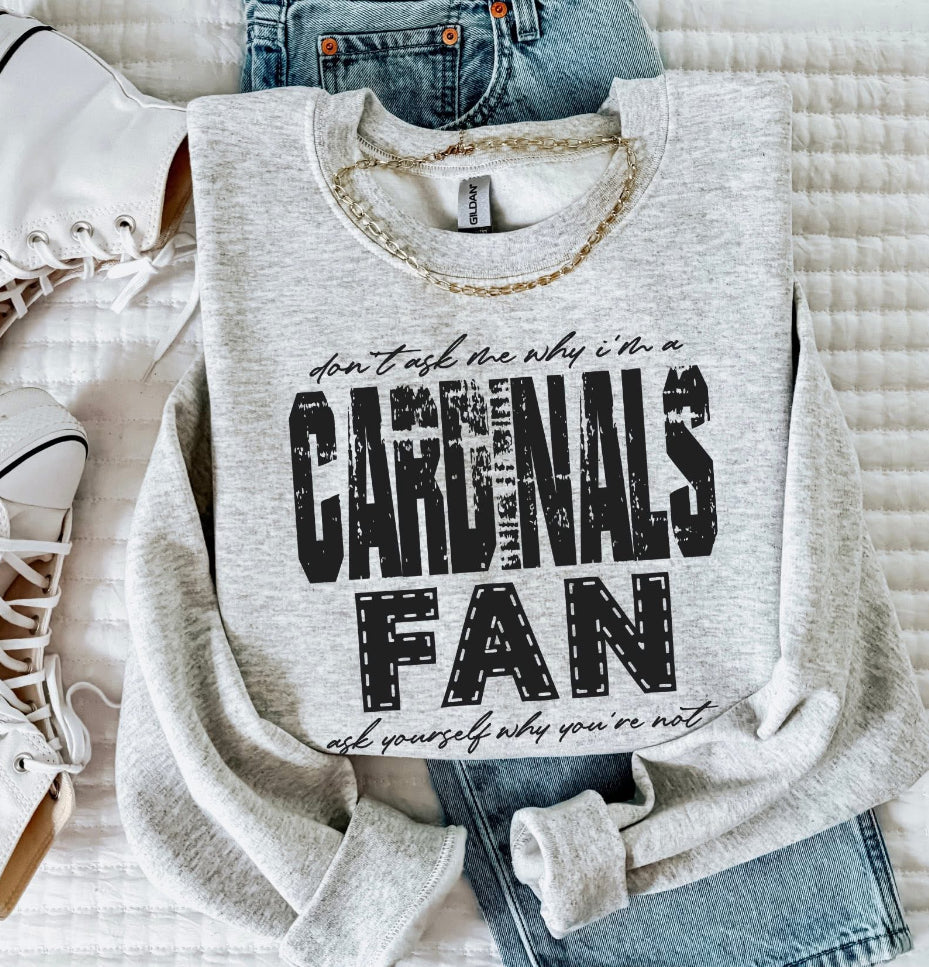 Cardinals (Don't Ask Me Why Spirit Mascot) - DTF