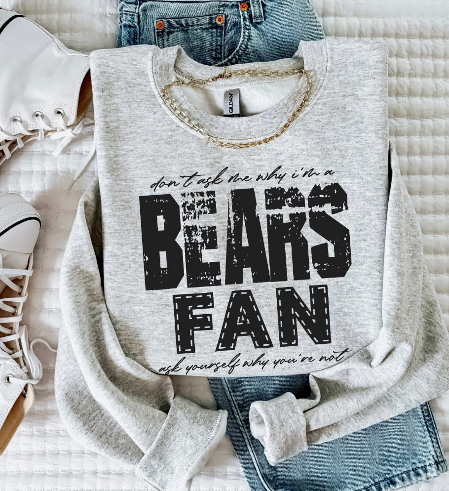 Bears (Don't Ask Me Why Spirit Mascot) - DTF