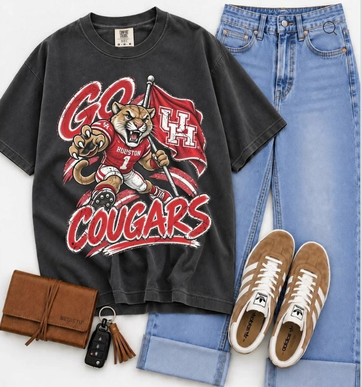 Houston (Vintage Distressed Go Mascots) - DTF
