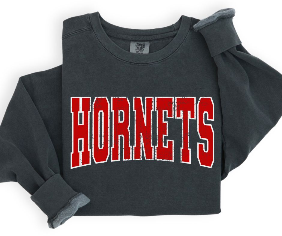 Hornets (Outlined Arch - Red/White) - DTF