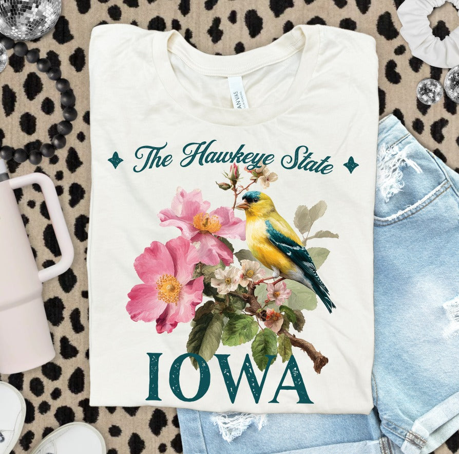 Iowa (Vintage States) - DTF