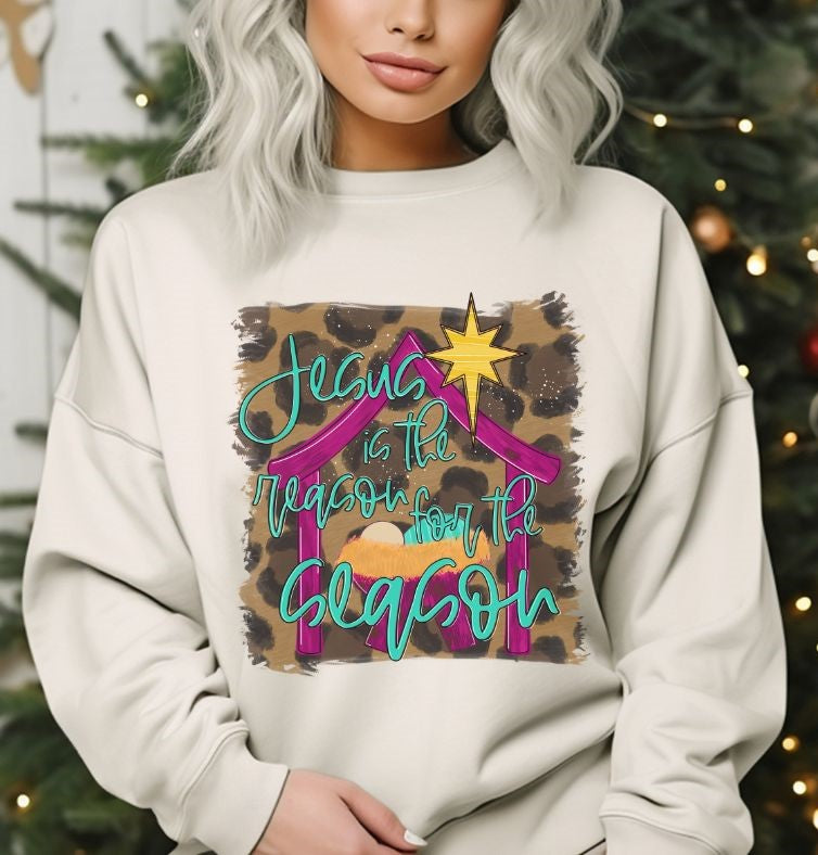 Jesus is the reason for the season - DTF
