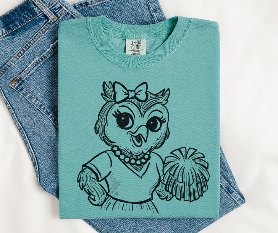 Owl (Cheer Vintage Sketch Mascot) - DTF