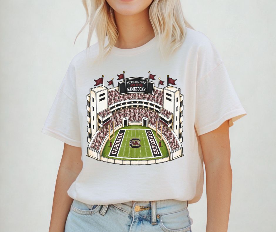 South Carolina (College Stadiums) - DTF
