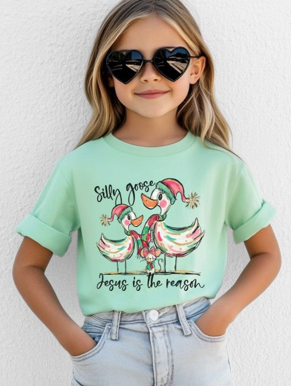 Silly Goose Jesus is the Reason - DTF