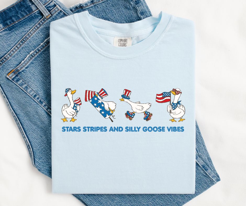 Stars Stripes and Silly Goose Vibes - DTF