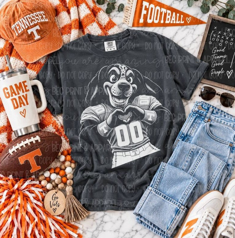 Tennessee (Heart Hands College) - DTF