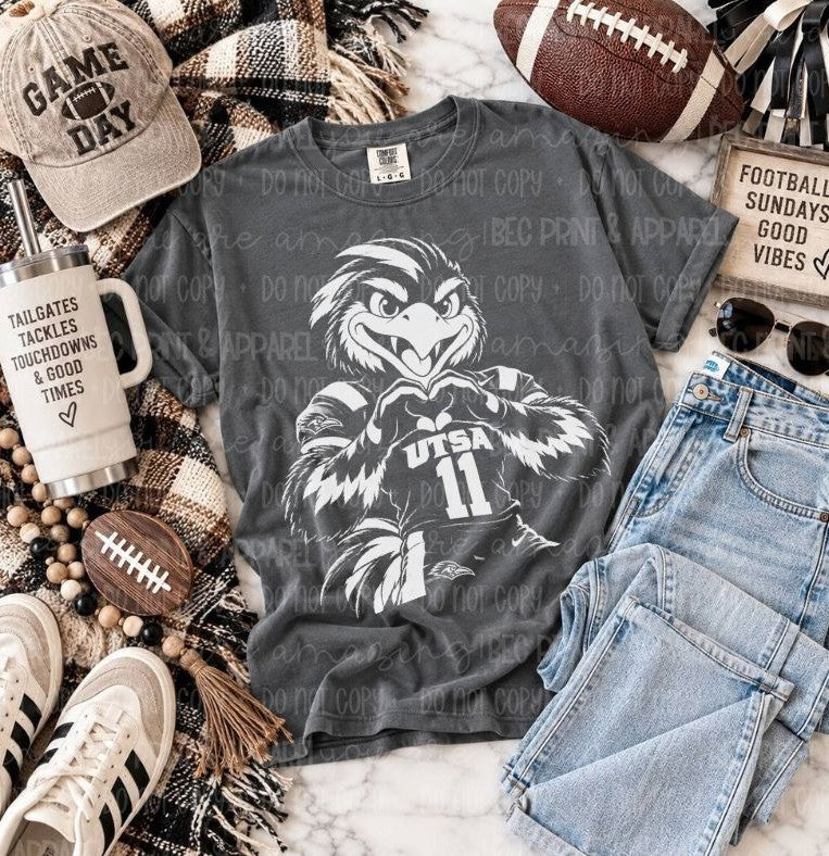 UTSA (Heart Hands College) - DTF