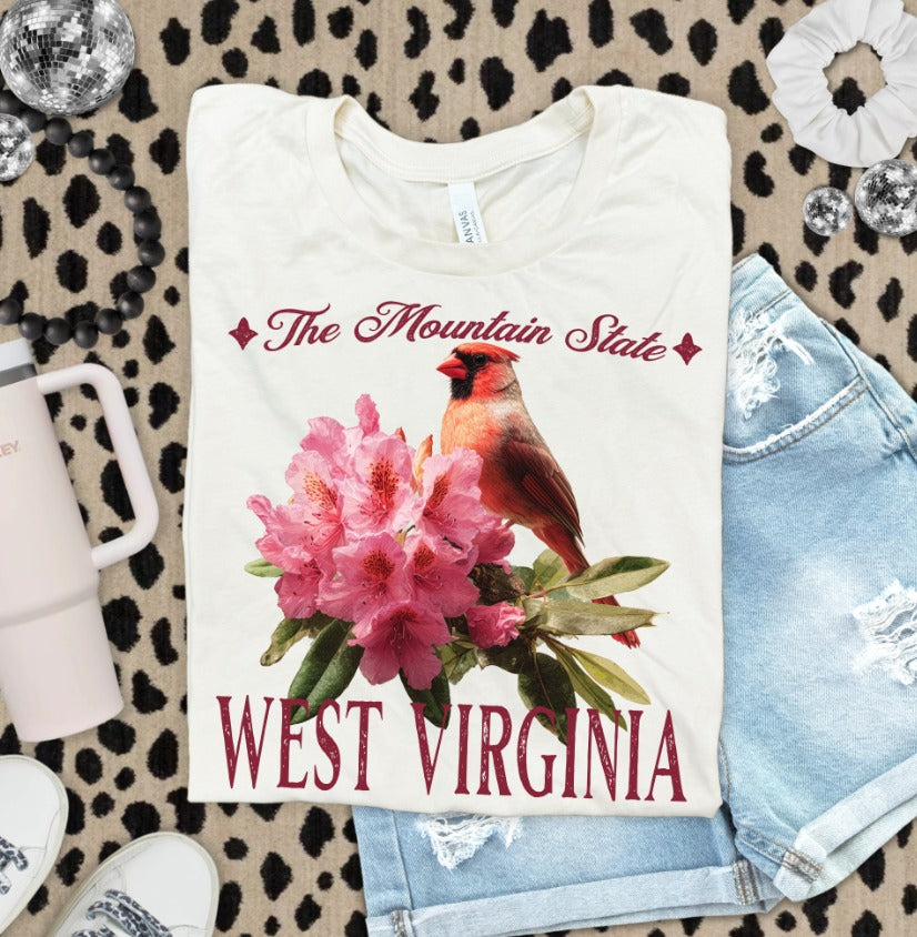 West Virginia (Vintage States) - DTF