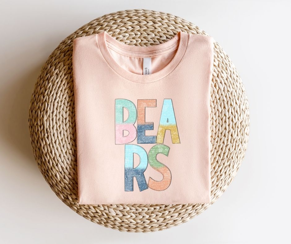 Bears Multi-Colored Mascot - DTF