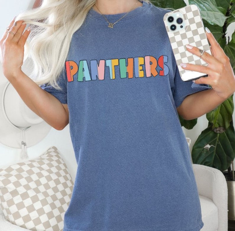 Panthers Color Block - DTF