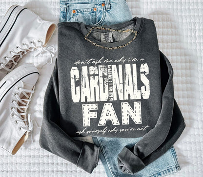 Cardinals (Don't Ask Me Why Spirit Mascot) - DTF