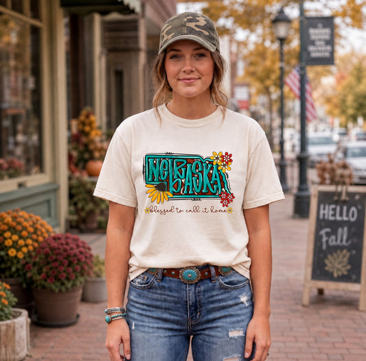 Nebraska (Turquoise State) - DTF