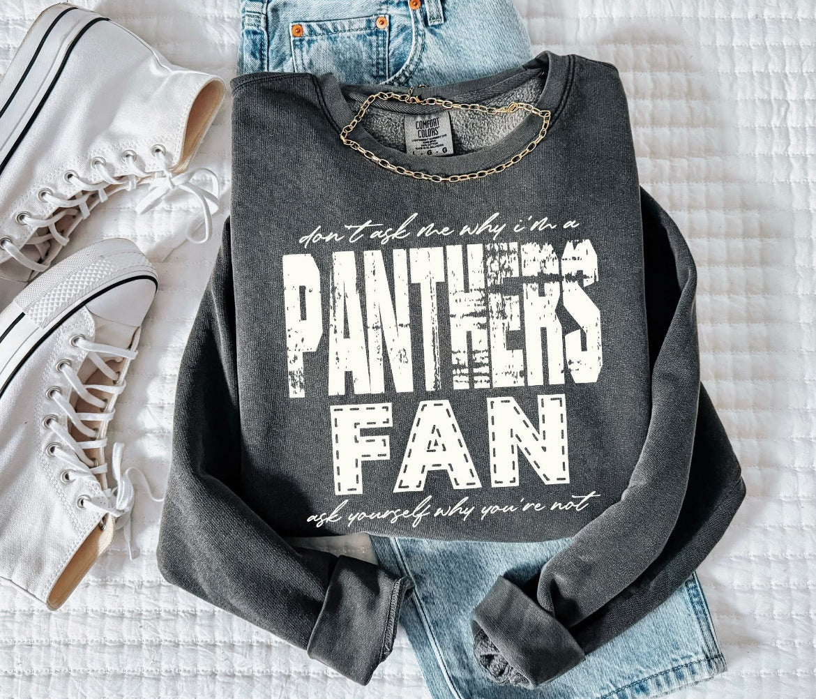 Panthers (Don't Ask Me Why Spirit Mascot) - DTF