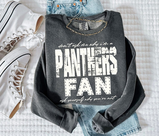 Panthers (Don't Ask Me Why Spirit Mascot) - DTF