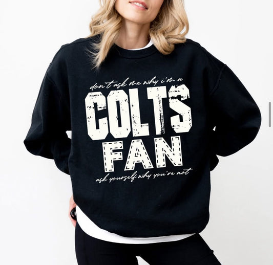Colts (Don't Ask Me Why Spirit Mascot) - DTF