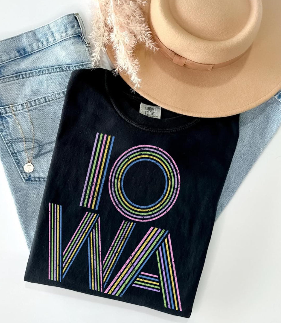 Iowa (retro lines distressed) - DTF