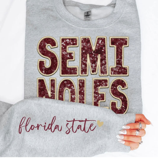 Seminoles (Sequins/Embroidery look) - DTF