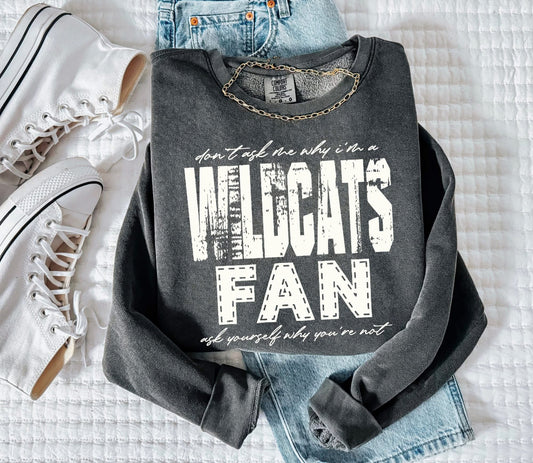 Wildcats (Don't Ask Me Why Spirit Mascot) - DTF