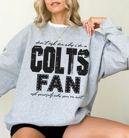 Colts (Don't Ask Me Why Spirit Mascot) - DTF
