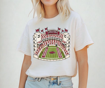 Arkansas (College Stadiums) - DTF