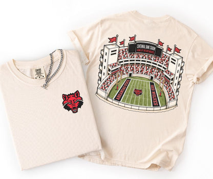 Arkansas State (College Stadiums) - DTF