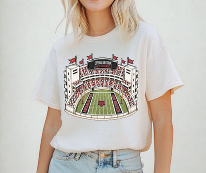 Arkansas State (College Stadiums) - DTF
