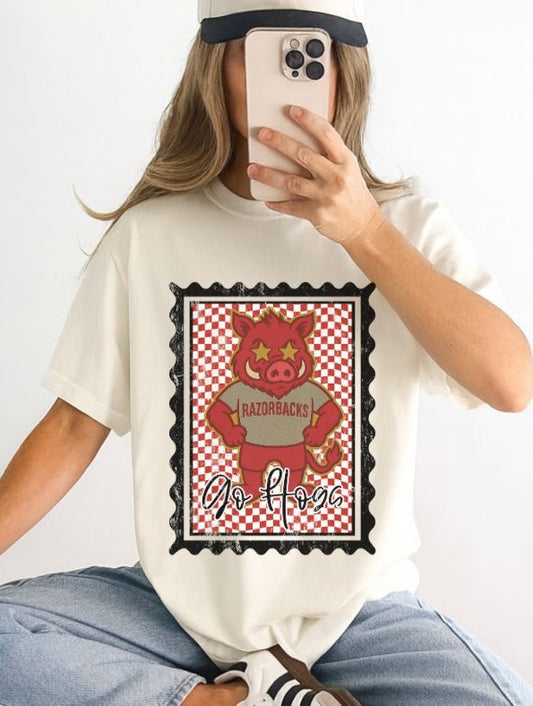 Arkansas (Vintage Postage Stamp Mascot) - DTF