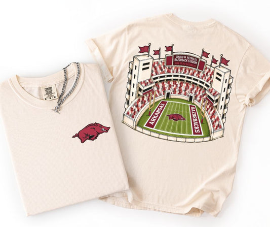 Arkansas (College Stadiums) - DTF