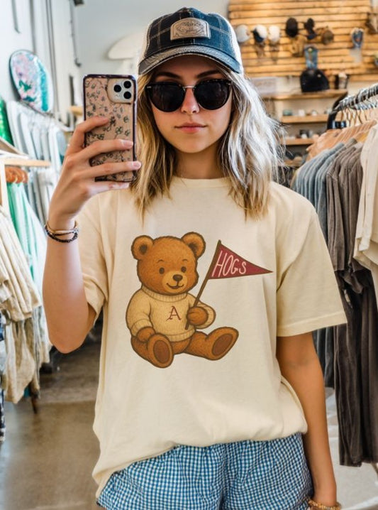 Arkansas (Teddy Bear Pennant) - DTF
