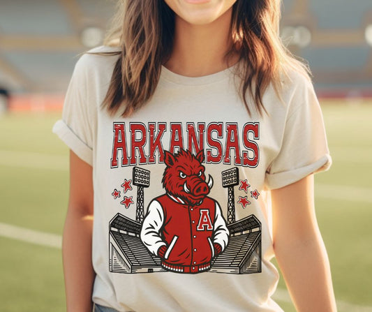 Arkansas (College Letterman Mascot) - DTF