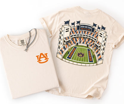 Auburn (College Stadiums) - DTF