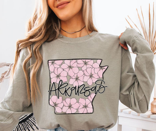 Arkansas (Whimsy State) - DTF