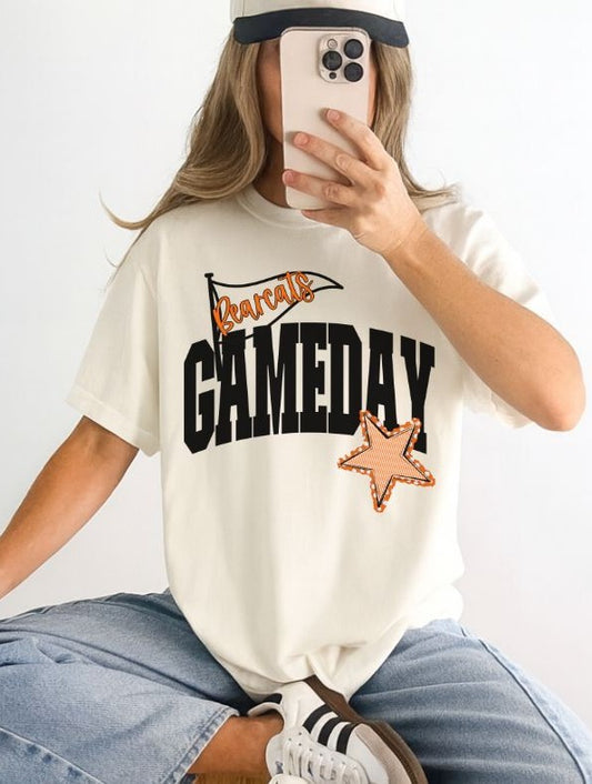 Bearcats - Orange/Black (Game Day Flag Mascots) - DTF