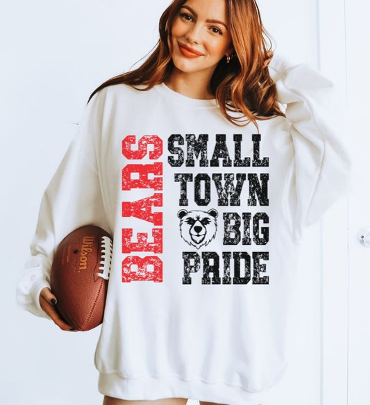 Bears - Red (Small Town Big Pride Mascots) - DTF