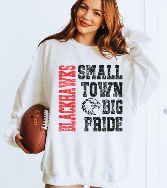 Blackhawks - Red (Small Town Big Pride Mascots) - DTF (Co