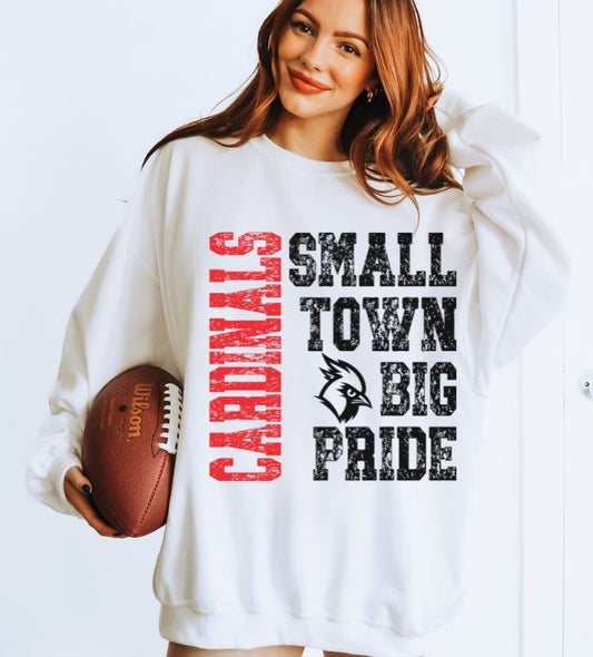 Cardinals - Red (Small Town Big Pride Mascots) - DTF
