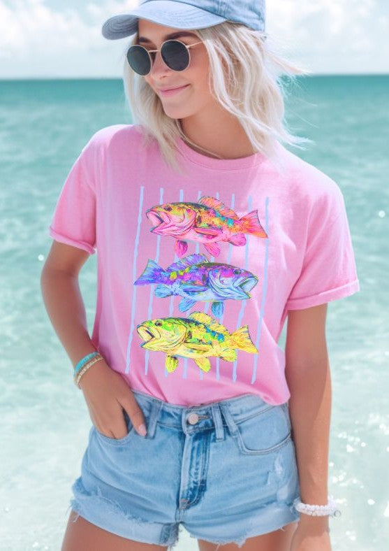 Colorful Fish - DTF