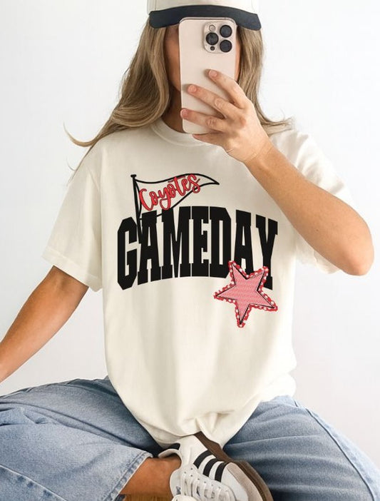 Coyotes - Red/Black (Game Day Flag Mascots) - DTF