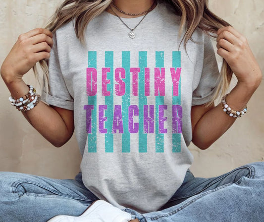 Destiny Teacher (School Stripes Grade Levels/Occupations) - DTF