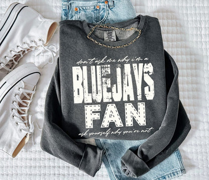 BlueJays (Don't Ask Me Why Spirit Mascot) - DTF