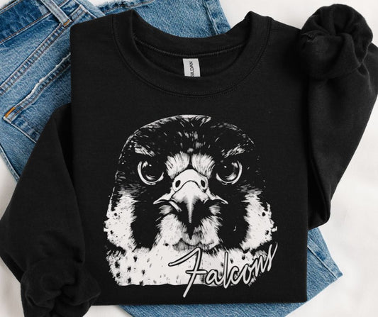 Falcons (Aggressive Mascot) - DTF