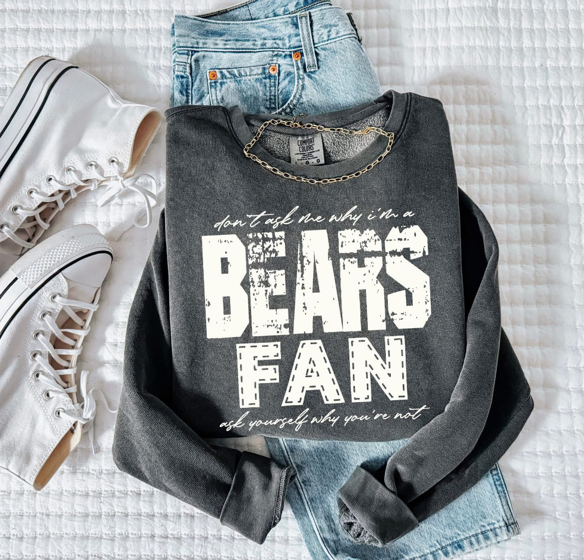 Bears (Don't Ask Me Why Spirit Mascot) - DTF