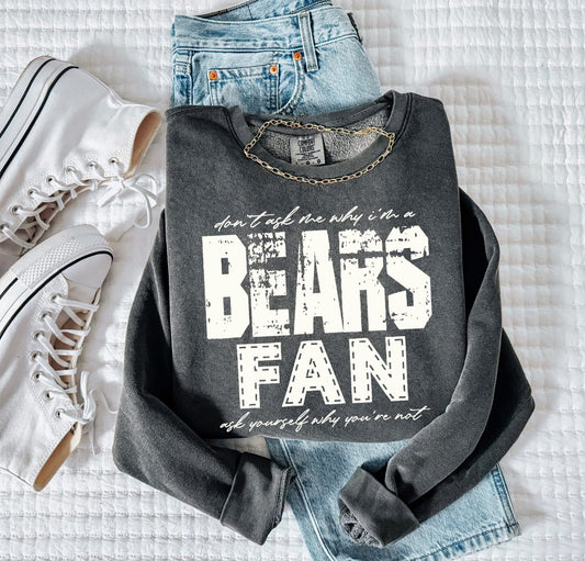 Bears (Don't Ask Me Why Spirit Mascot) - DTF