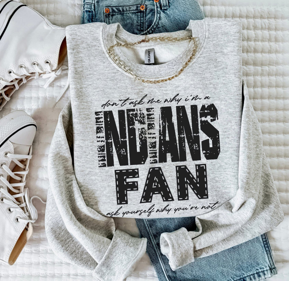 Indians (Don't Ask Me Why Spirit Mascot) - DTF